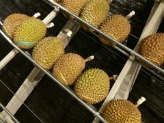 -都念榴莲·城市榴莲