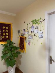 -Dr.林醫生产后修复·超级店(南京江宁同曦店)