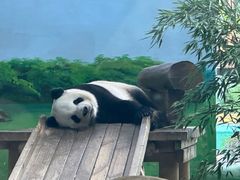 -临沂动植物园