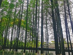 -瀛洲公园