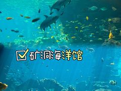 -长鹿旅游休博园