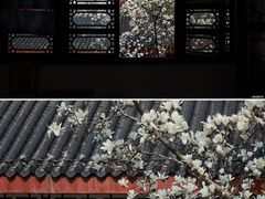 -堤角公园