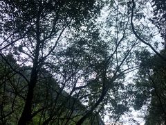 -宁波五龙潭景区