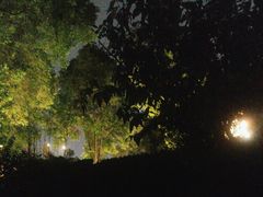 -大妙火锅·非物质文化遗产(东湖公园店)