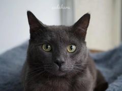 -满堂春特色餐馆