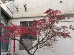 -苏州市公园路幼儿园