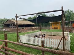 -天津东丽湖风景区