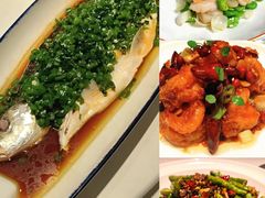 四川水库翘壳鱼-许家菜(DT51店)