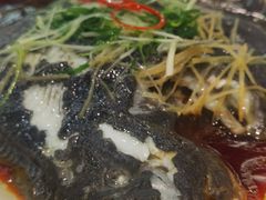 清蒸多宝鱼-金苑海鲜酒家(新港中路店)