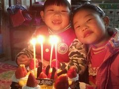 -幸福鸟生日蛋糕(临西店)