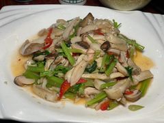 -野菌王牦牛肉汤锅