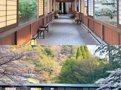 -月光园游月山庄