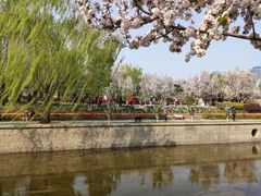 -海棠花溪(元大都城垣遗址公园)