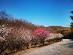 -南山风景名胜区