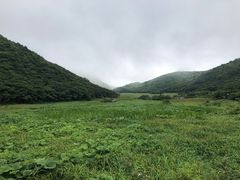 -大围山国家森林公园