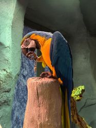 -Zoolung Zoolung动物主题公园(海信广场店)