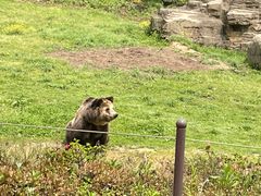 -杭州野生动物世界