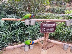 -南宫五洲植物乐园