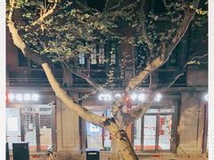-付小姐在成都(中山公园店)