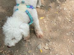 -北京鹫峰国家森林公园