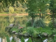 -重庆彩云湖湿地公园