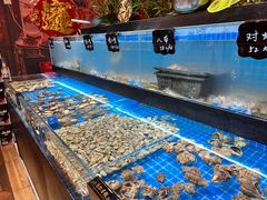 -济南一九烧烤(师院东街店)