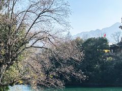 -绩溪龙川景区