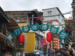 -猫咪博物馆(顶澳仔猫街店)