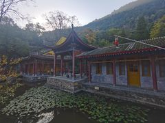 -华清宫景区