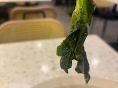 -三姐·老友记·南宁老友粉(朝阳区光华路嘉里中心店)