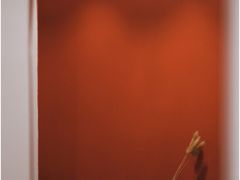 -LuluCake·路鹿蛋糕