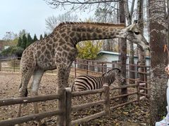 -大连森林动物园