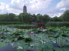 -舍利塔滩地公园-无垢净光舍利塔