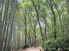 -虞山风景区