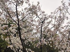 -南京城墙景区