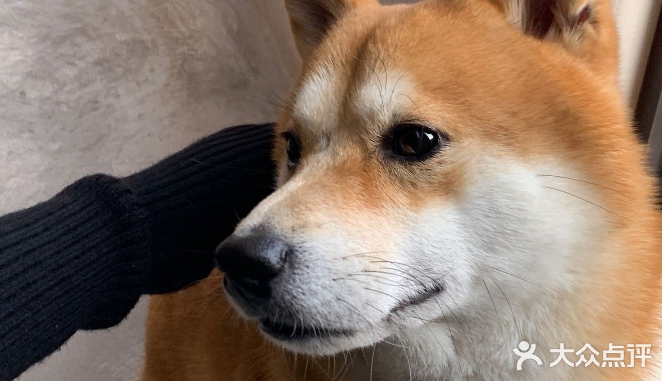 长沙新店｜有景德镇内味了