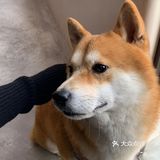 长沙新店｜有景德镇内味了