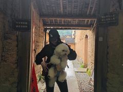 -杨家堂村