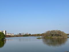 -海珠湖公园
