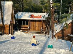 -藏龙百瀑风景区