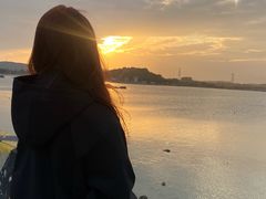 -汕尾风车岛