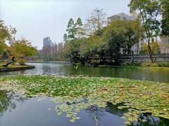 -荔枝公园(福田区)