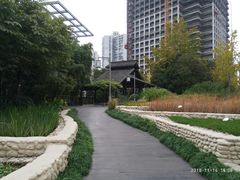-活水公园
