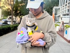 -喜多萌中农锦绣动物医院24H·猫科·牙科MRI·CT