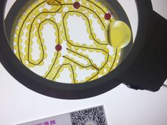 -上海昆虫博物馆