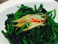 -玖号公馆