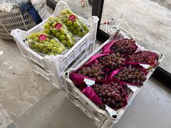 -马陆小张葡萄园农家乐