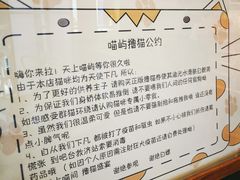 -喵屿·大理花园猫咖