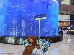 -佛山希尔顿酒店·融誉亚洲美食荟