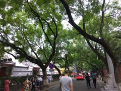 -北京国子监胡同
